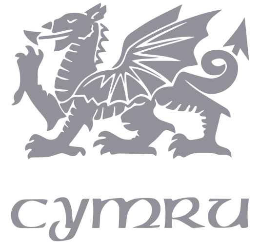 Welsh Dragon - Cymru Vinyl Transfer Decal - Various Size and Colours