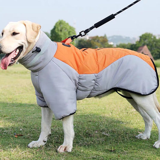 Winter Dog Coat - Waterproof - Designs By CRF