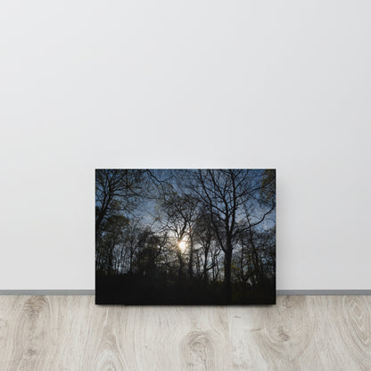 The Sun Through a Forest - Thin canvas - Designs By CRF