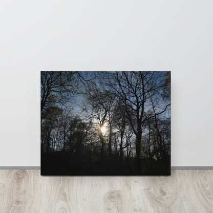 The Sun Through a Forest - Thin canvas - Designs By CRF