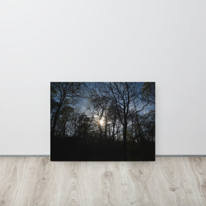 The Sun Through a Forest - Thin canvas - Designs By CRF