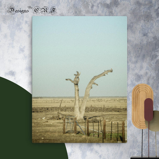 Australian The Lonely Tree Thin canvas - Designs By CRF