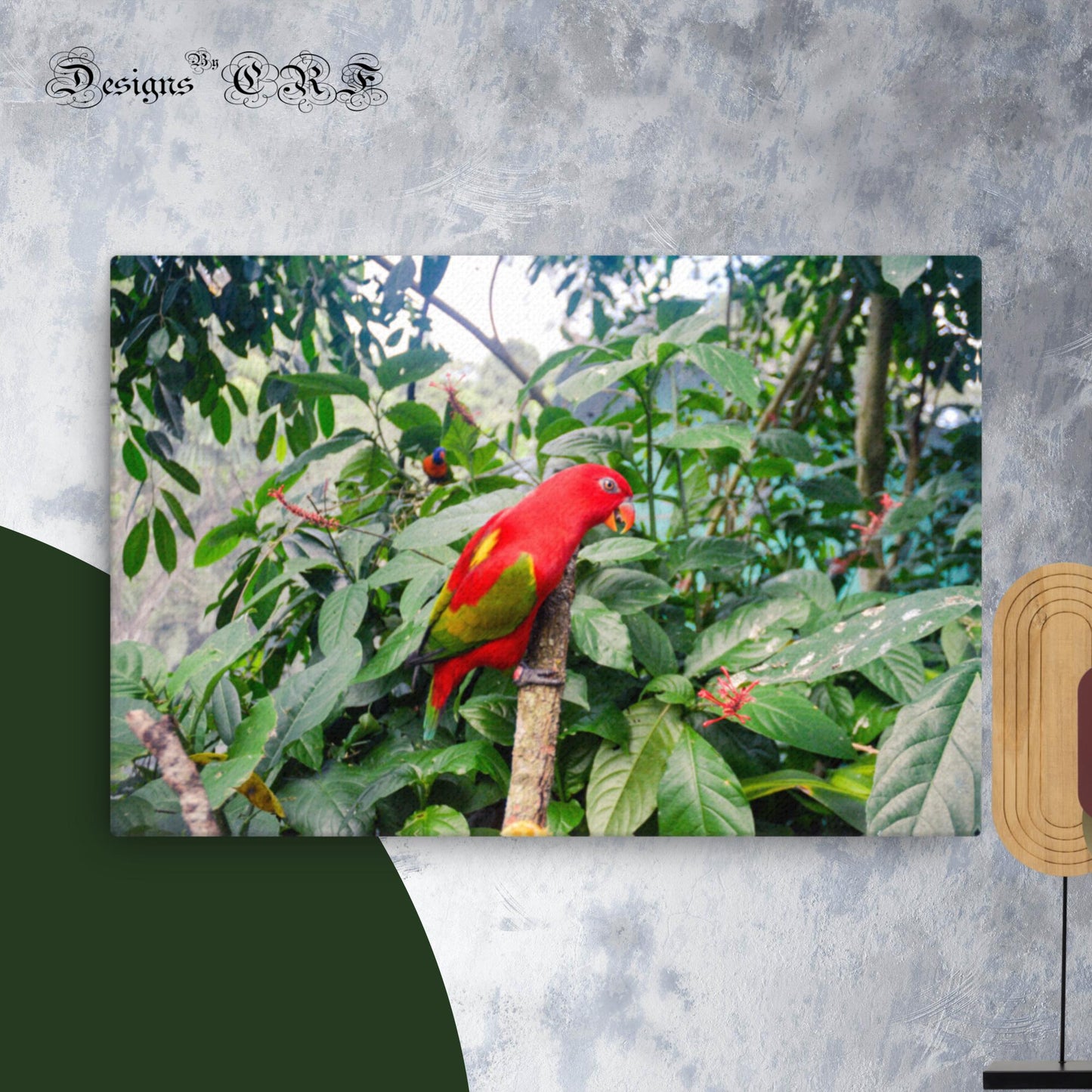 Australian Chattering Iory Parrot Thin canvas - Designs By CRF